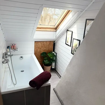 Apartment 2 -